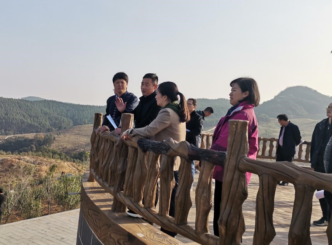 鹿寨县委县当局一行到龙母水库调研集团康养项目