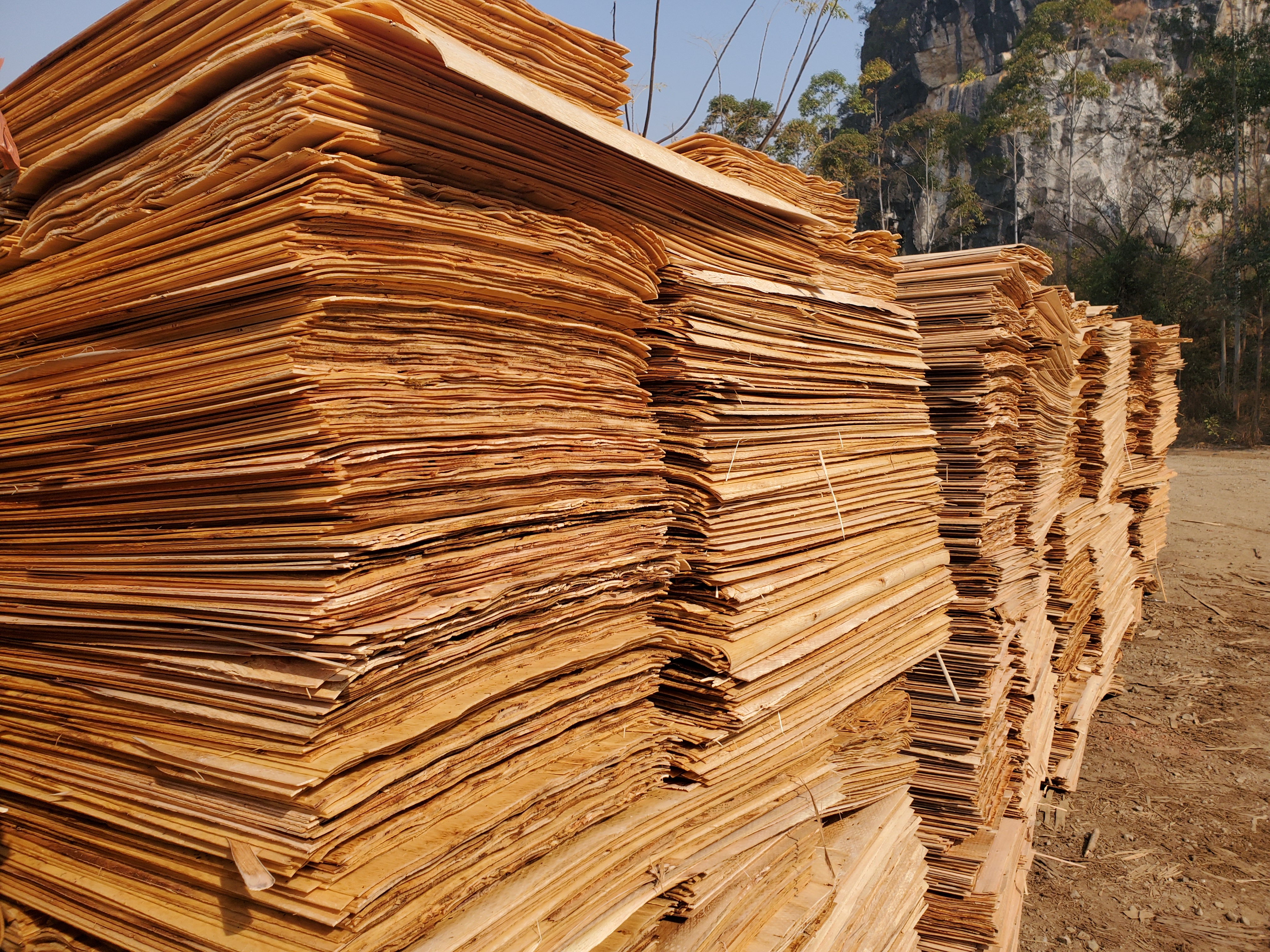 luck18xinli(中国区)-官方网站