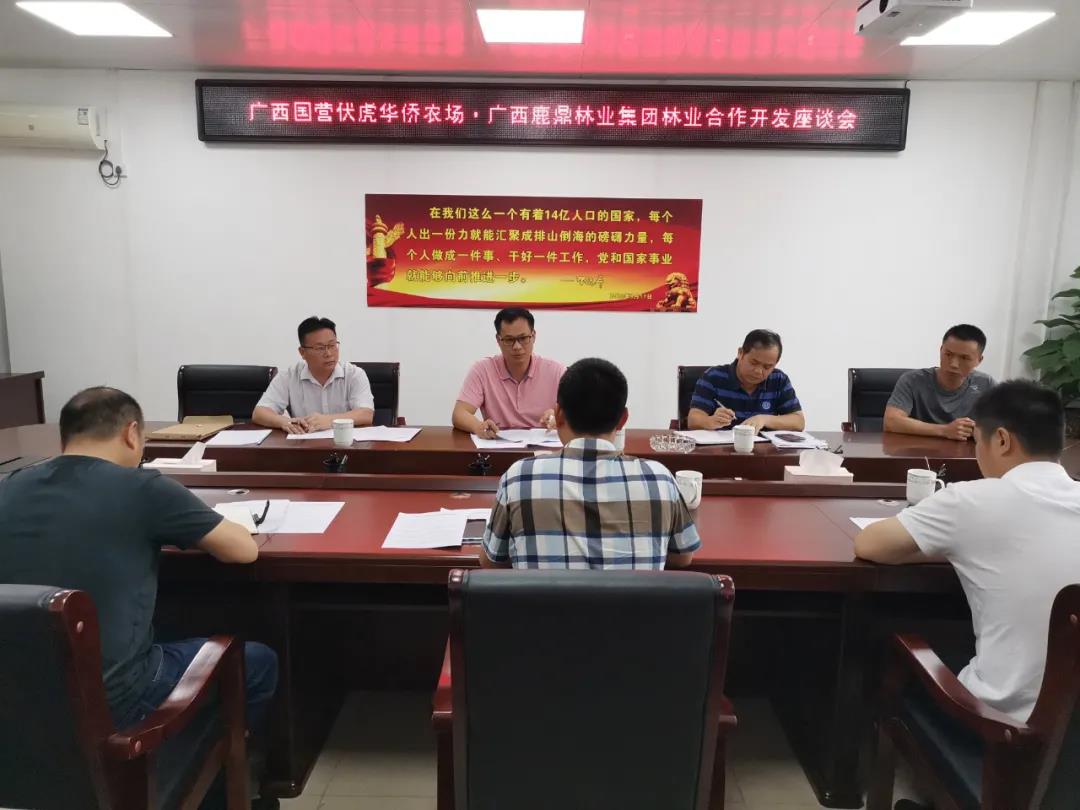 柳城伏虎华侨农场到集团发展农林合作座谈会