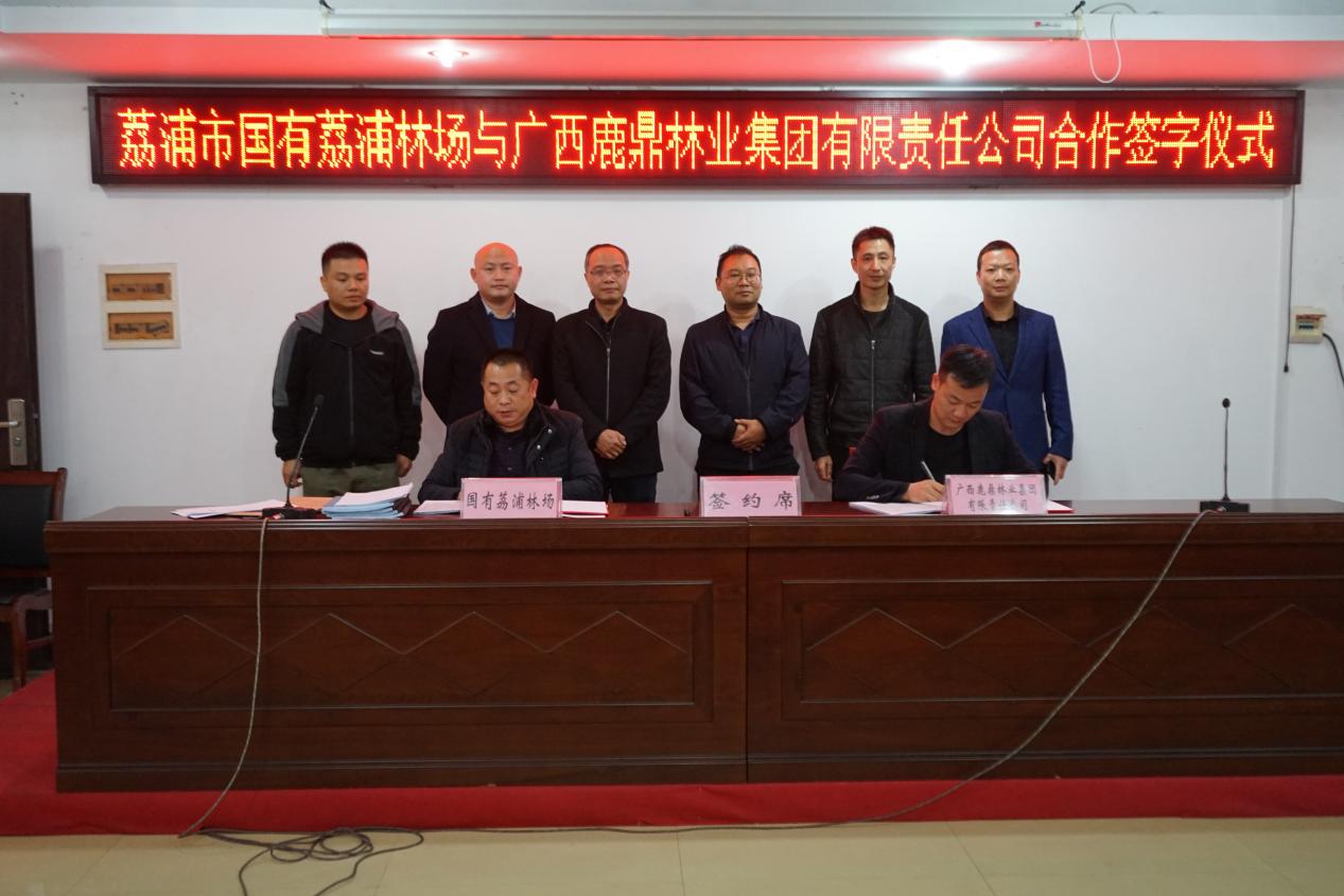 luck18xinli集团与国有荔浦林场签定商品林地合作和谈，，，，，，，，本次合同签定面积22000亩。。。。。。。