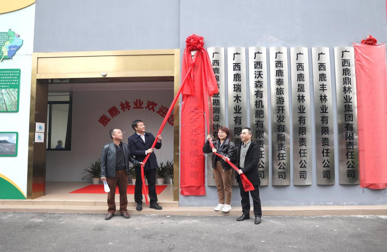 广西森工鼎盛矿业有限公司在luck18xinli林业集团进行揭牌典礼
