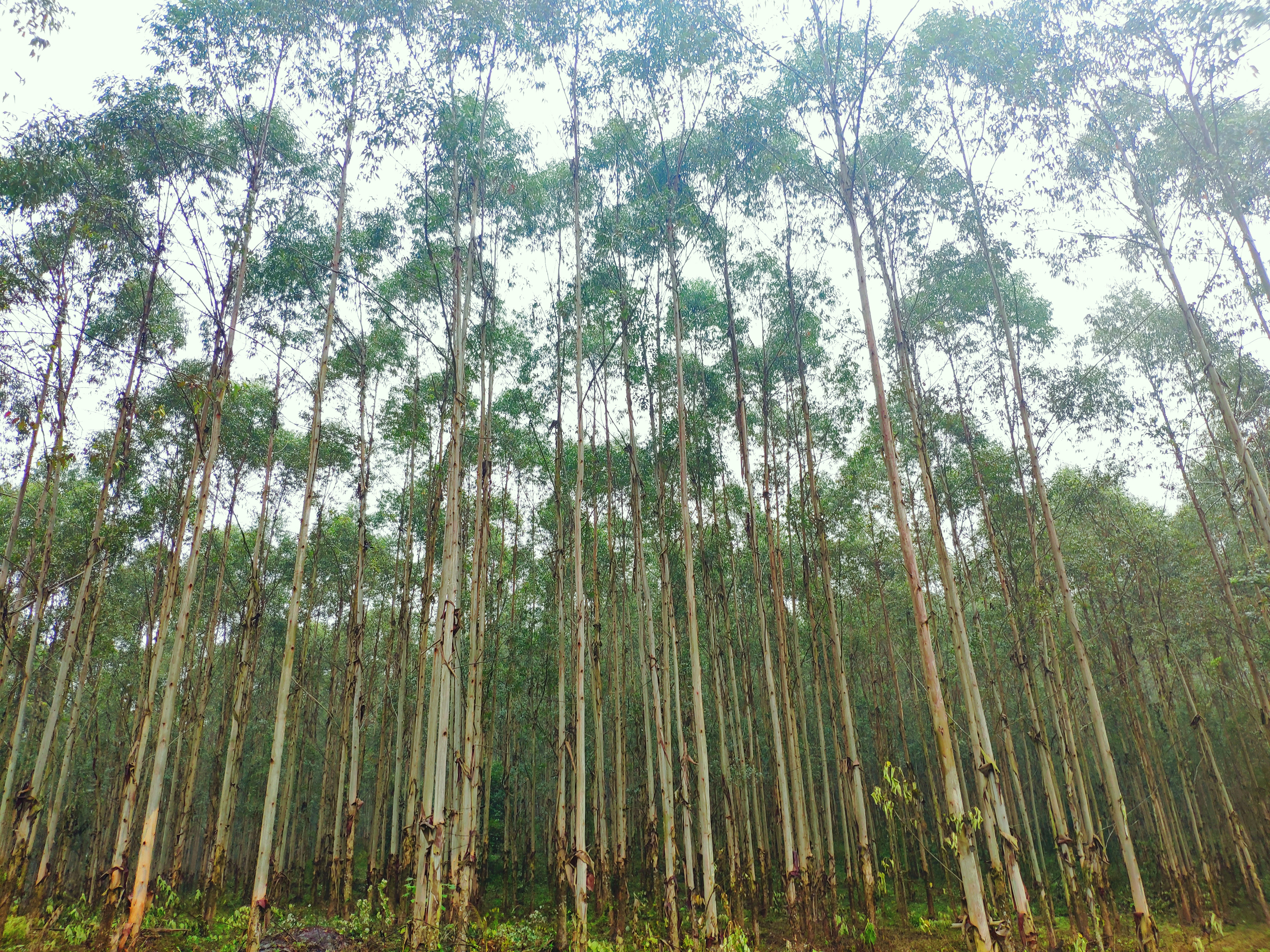 luck18xinli(中国区)-官方网站