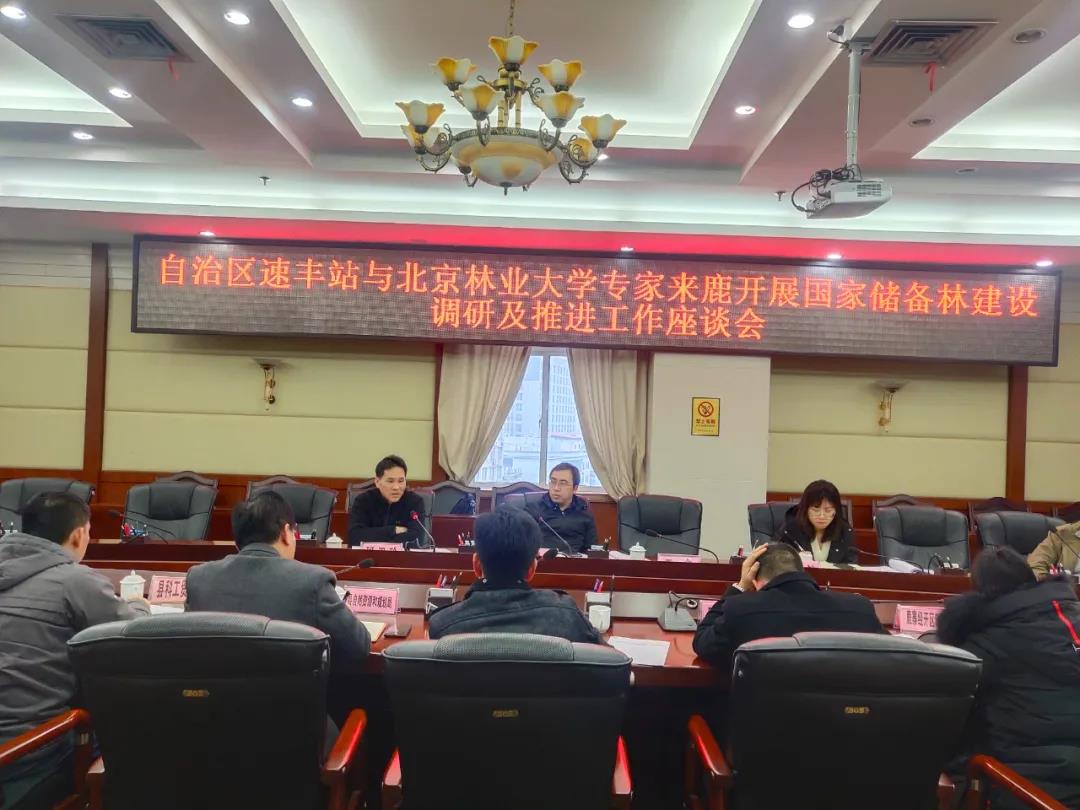 强化调研领导 全力推动国度储蓄林项目建设.jpg