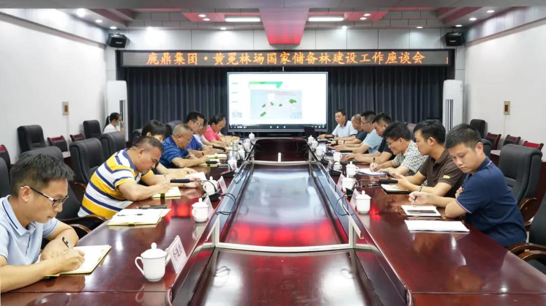 luck18xinli林业集团与黄冕林场座谈互换国储林建设工作1.jpg
