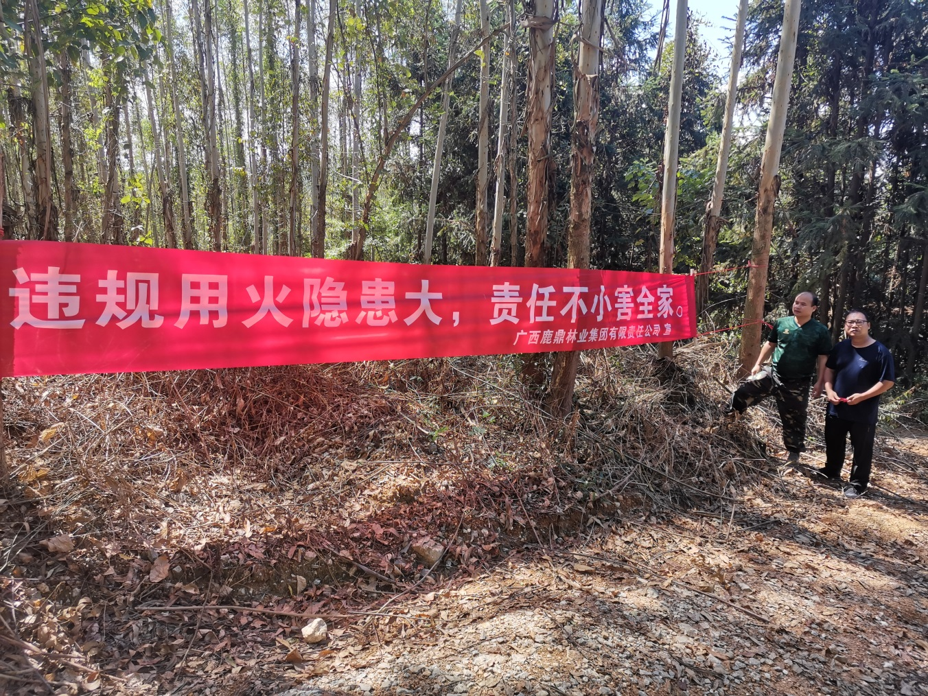 多措并举 筑牢丛林安全“防火墙”