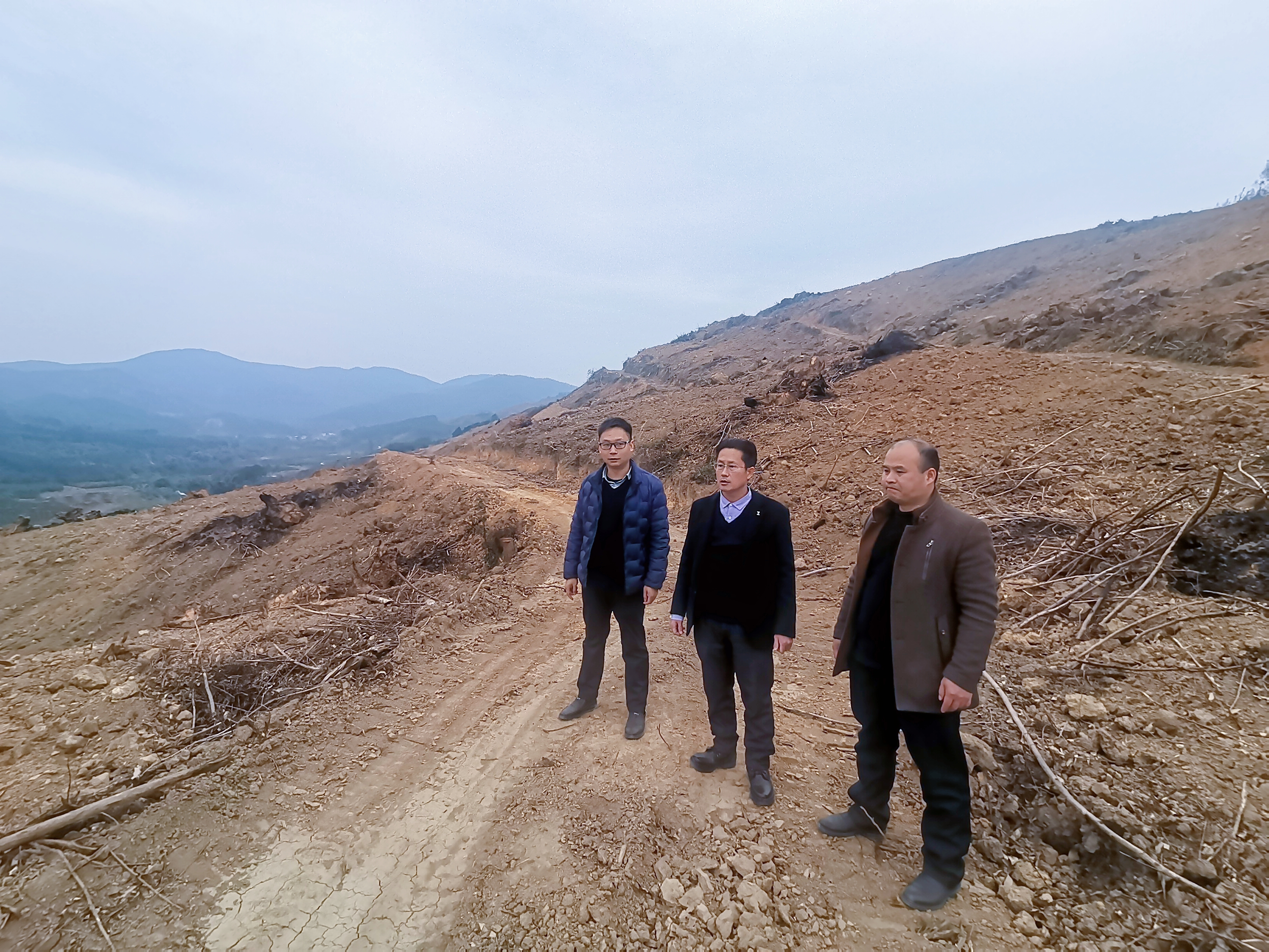 副董事长肖崇福到鹿寨县林地领导工作