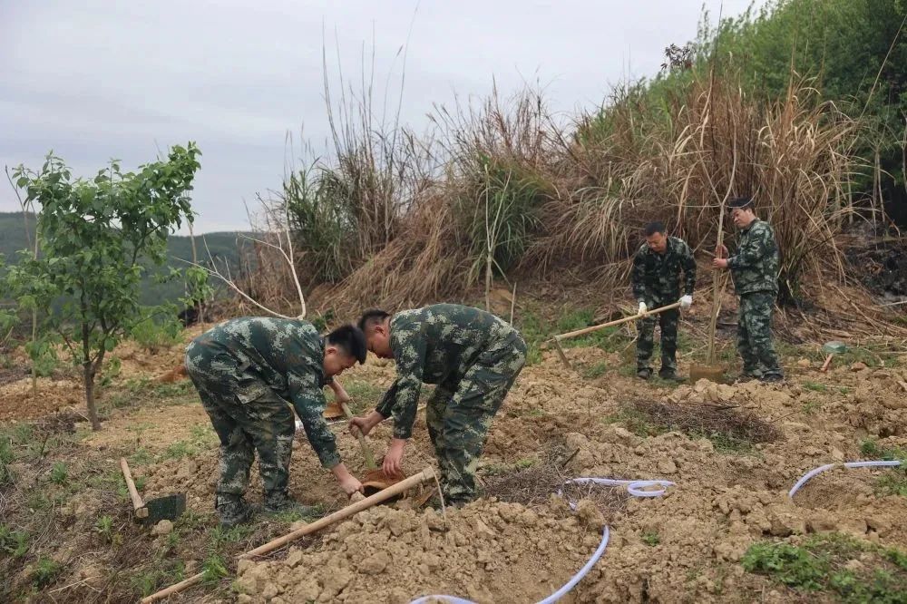 luck18xinli(中国区)-官方网站