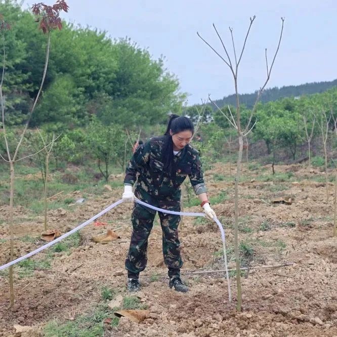 luck18xinli(中国区)-官方网站