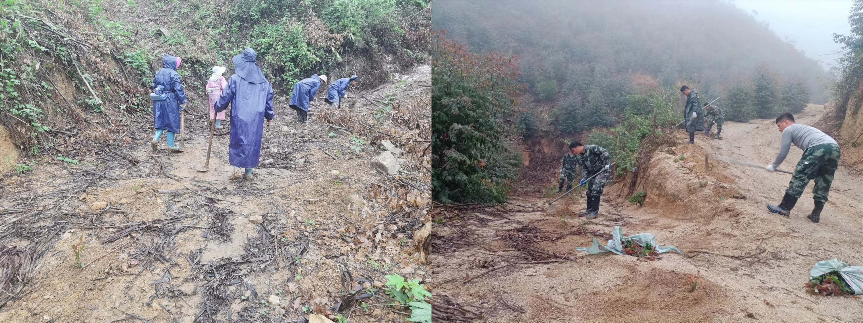 luck18xinli(中国区)-官方网站