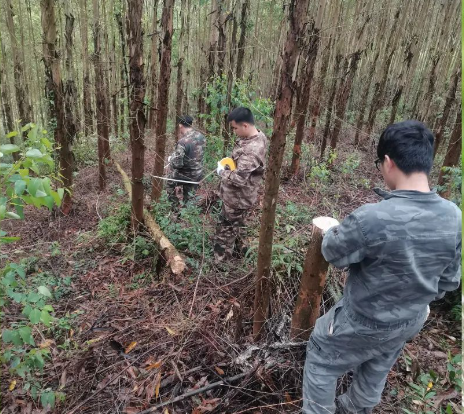 luck18xinli春日奋斗图鉴 |“鹿”力同心 ，，，，，，奋楫前行