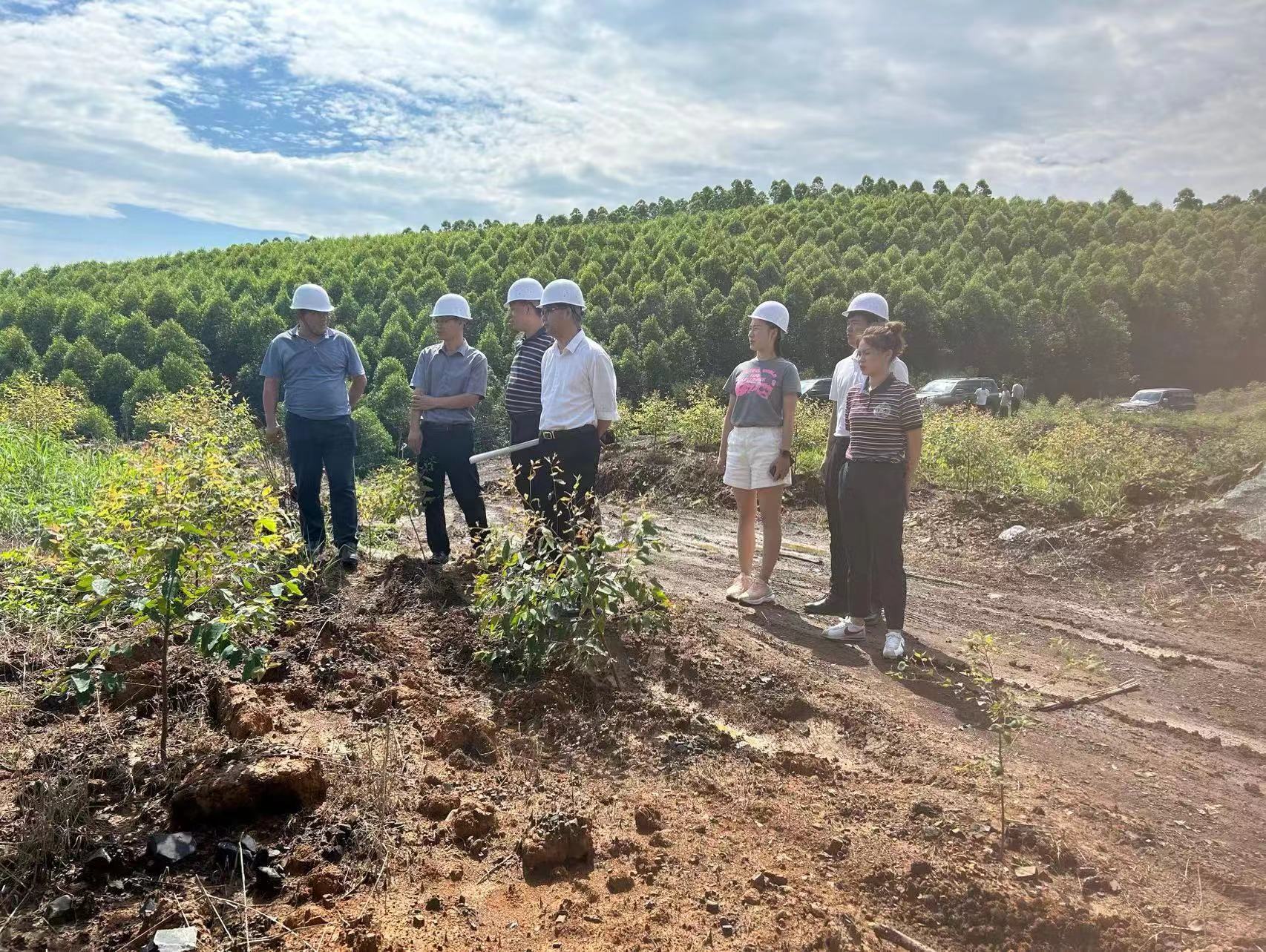 luck18xinli(中国区)-官方网站