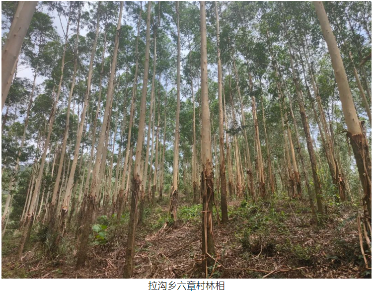 luck18xinli(中国区)-官方网站