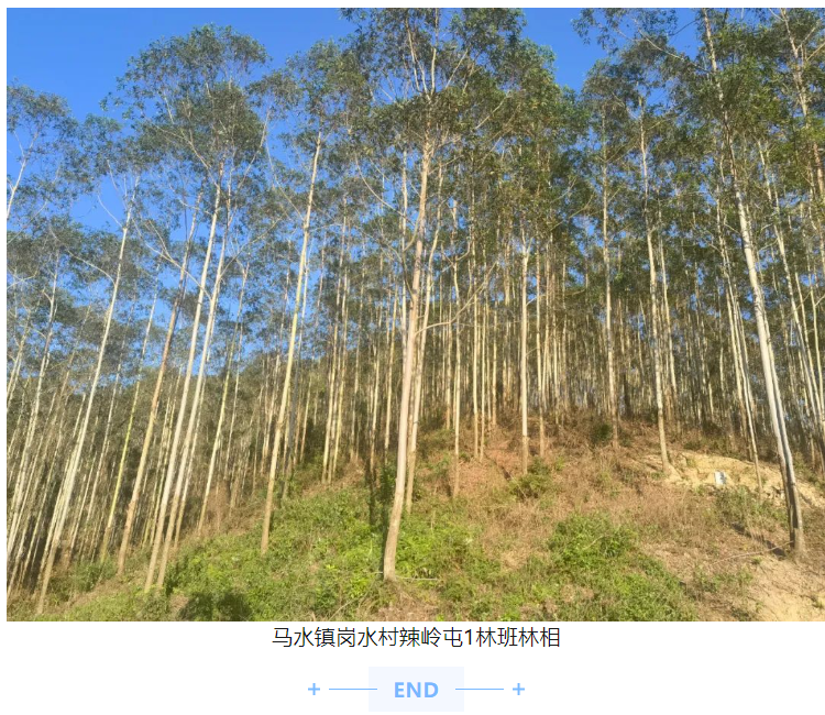 luck18xinli(中国区)-官方网站