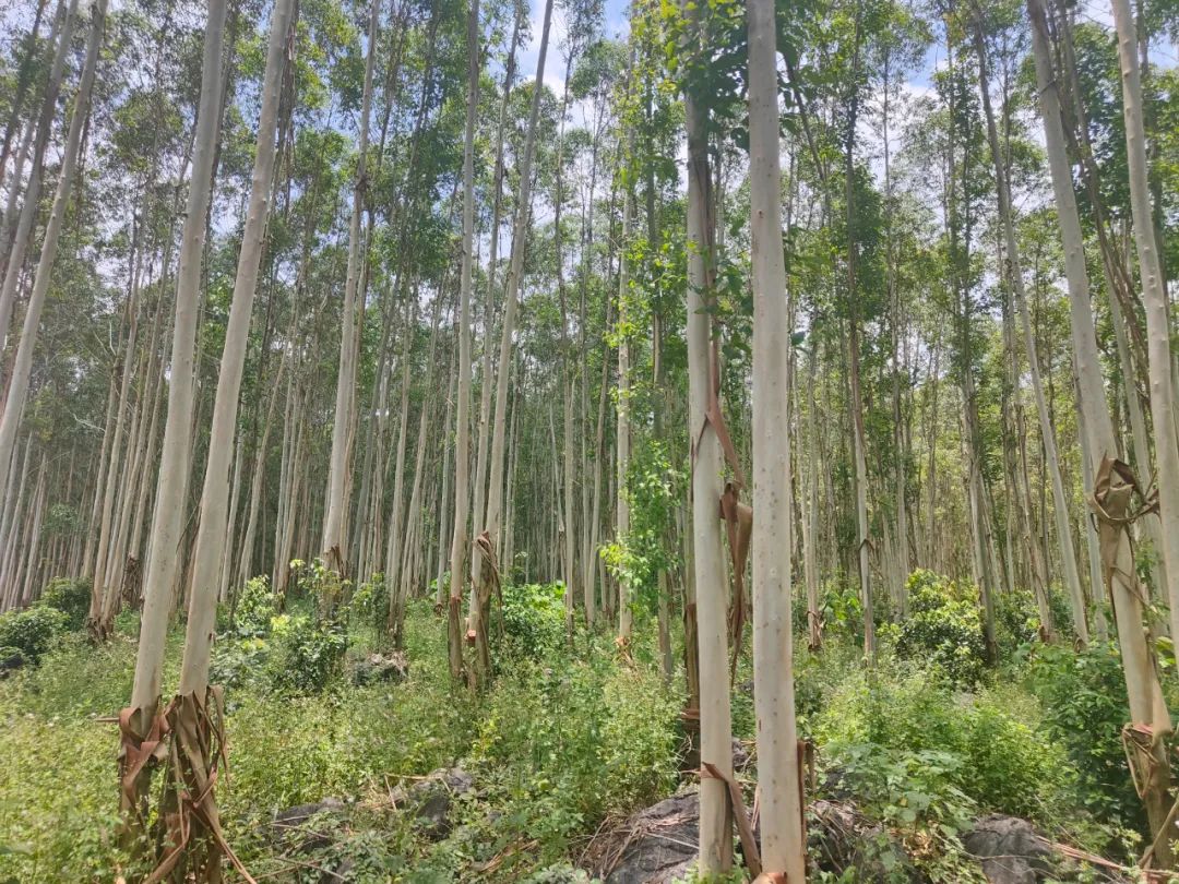 luck18xinli(中国区)-官方网站