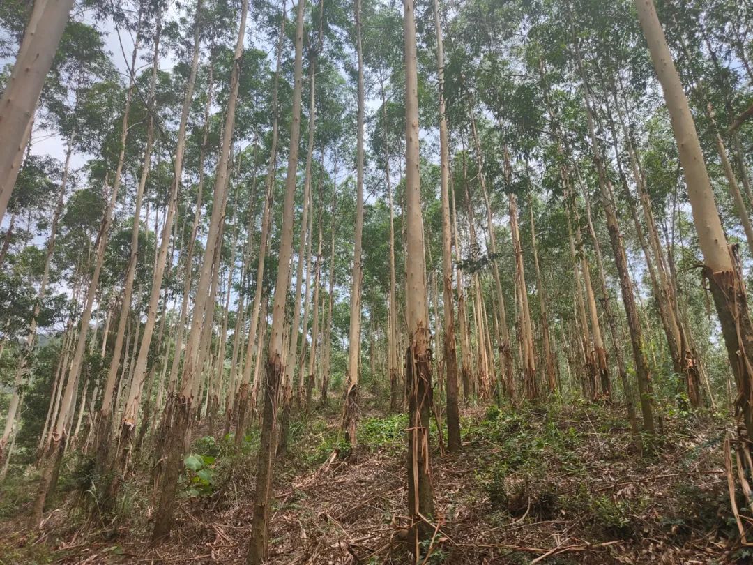 luck18xinli(中国区)-官方网站