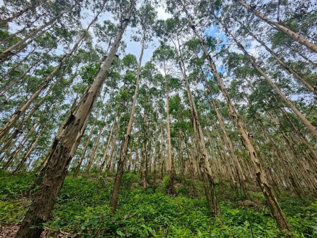 luck18xinli(中国区)-官方网站