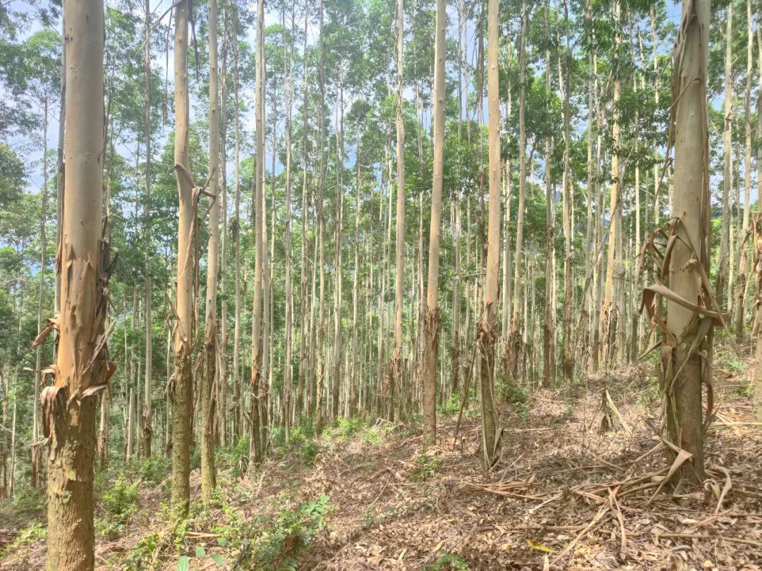 luck18xinli(中国区)-官方网站