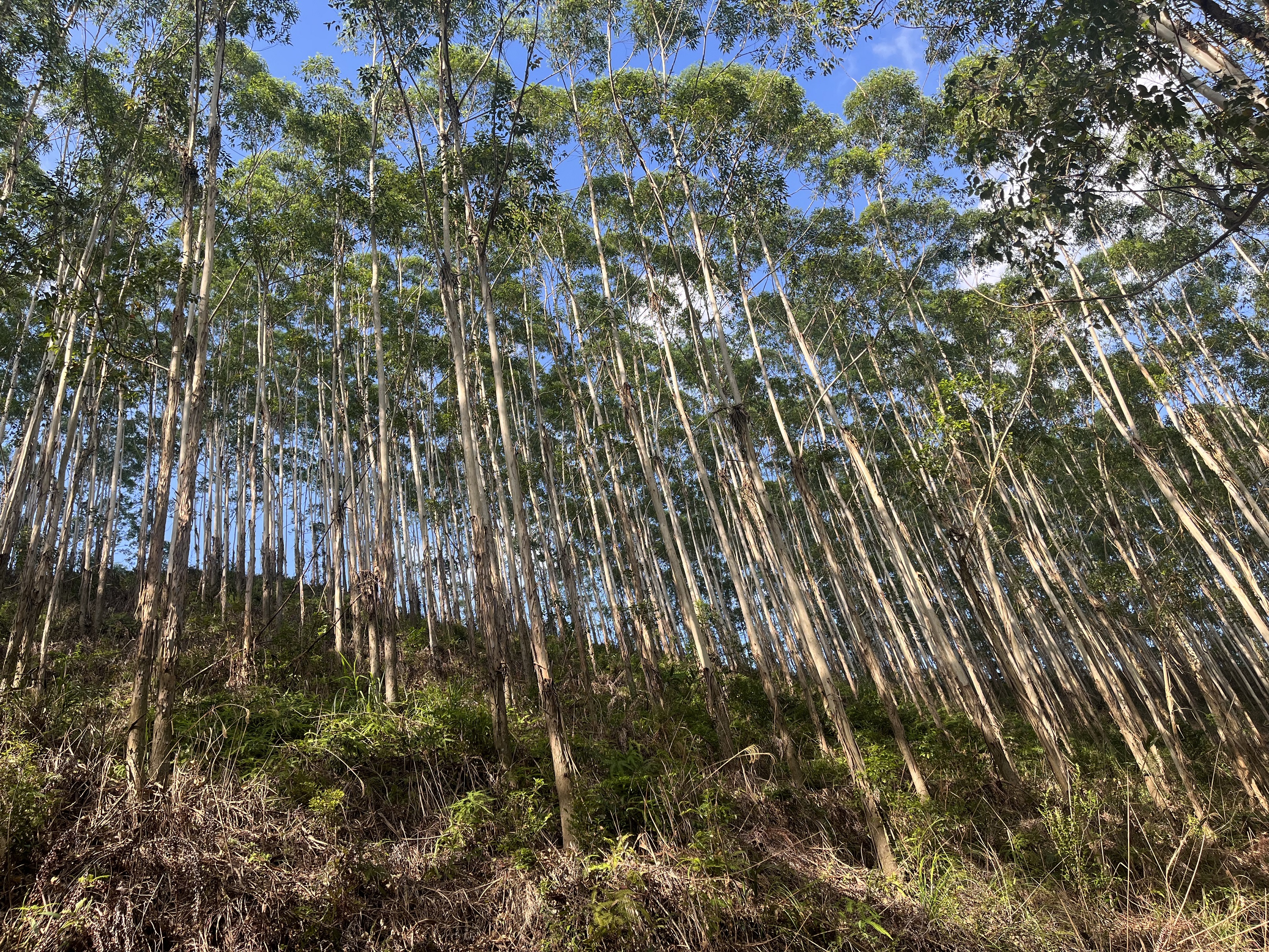 luck18xinli(中国区)-官方网站