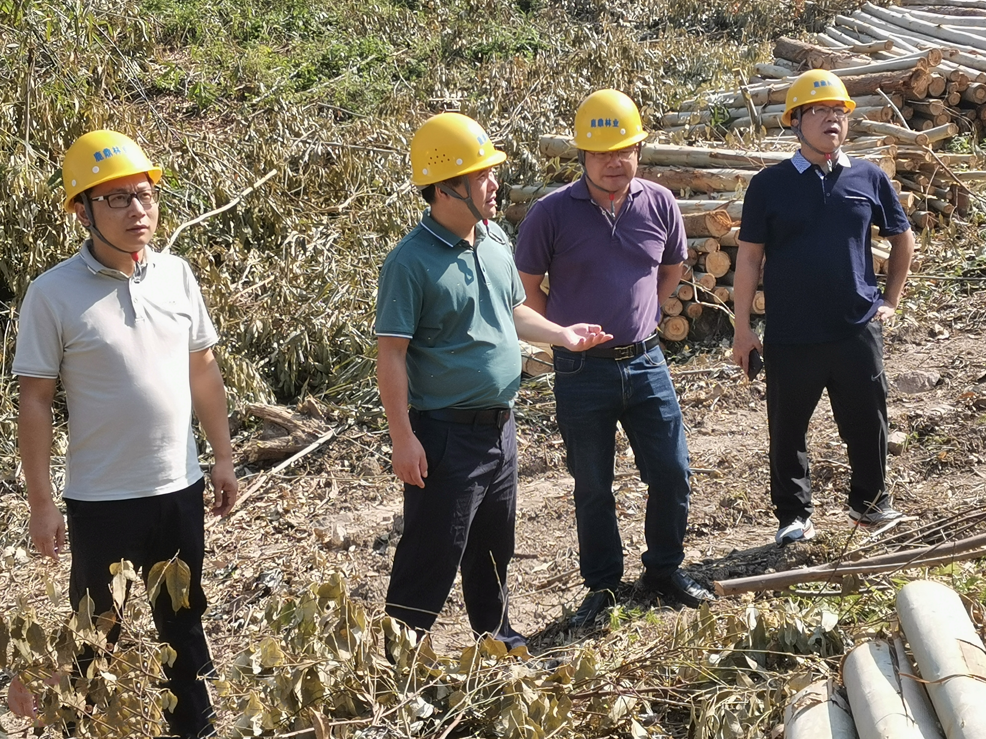 唐治良到鹿寨县林地查抄领导 伐区安全出产工作