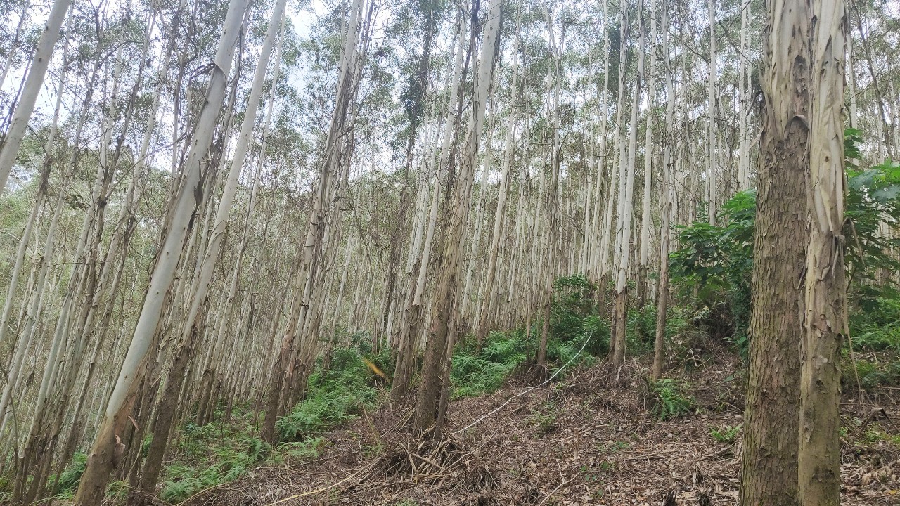 luck18xinli(中国区)-官方网站