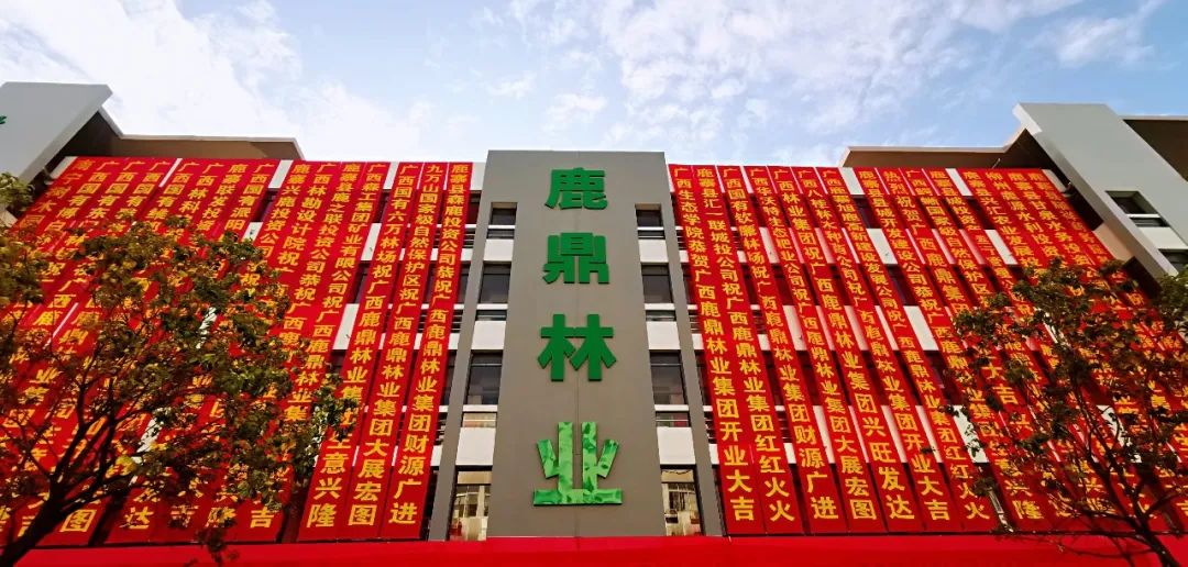 luck18xinli林业集团2024年新年贺词