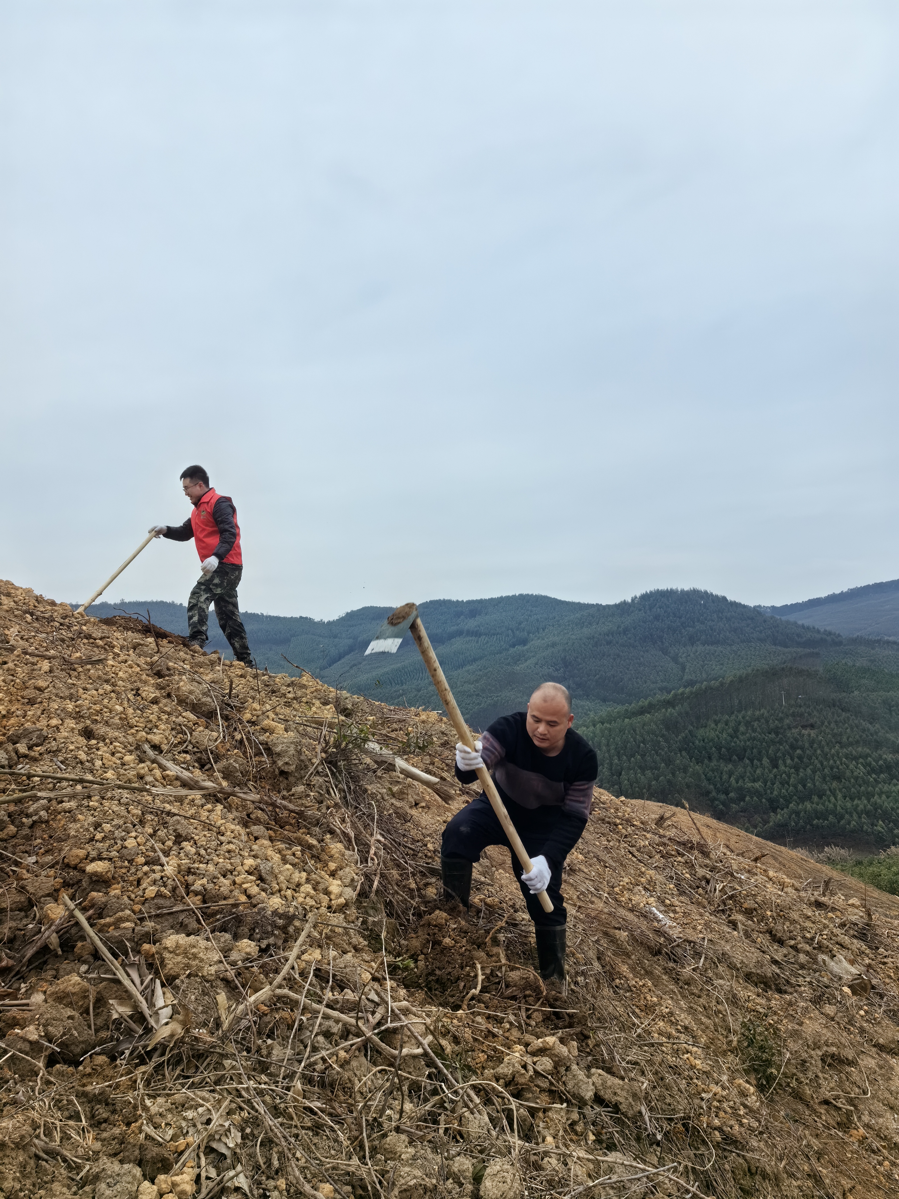 luck18xinli(中国区)-官方网站