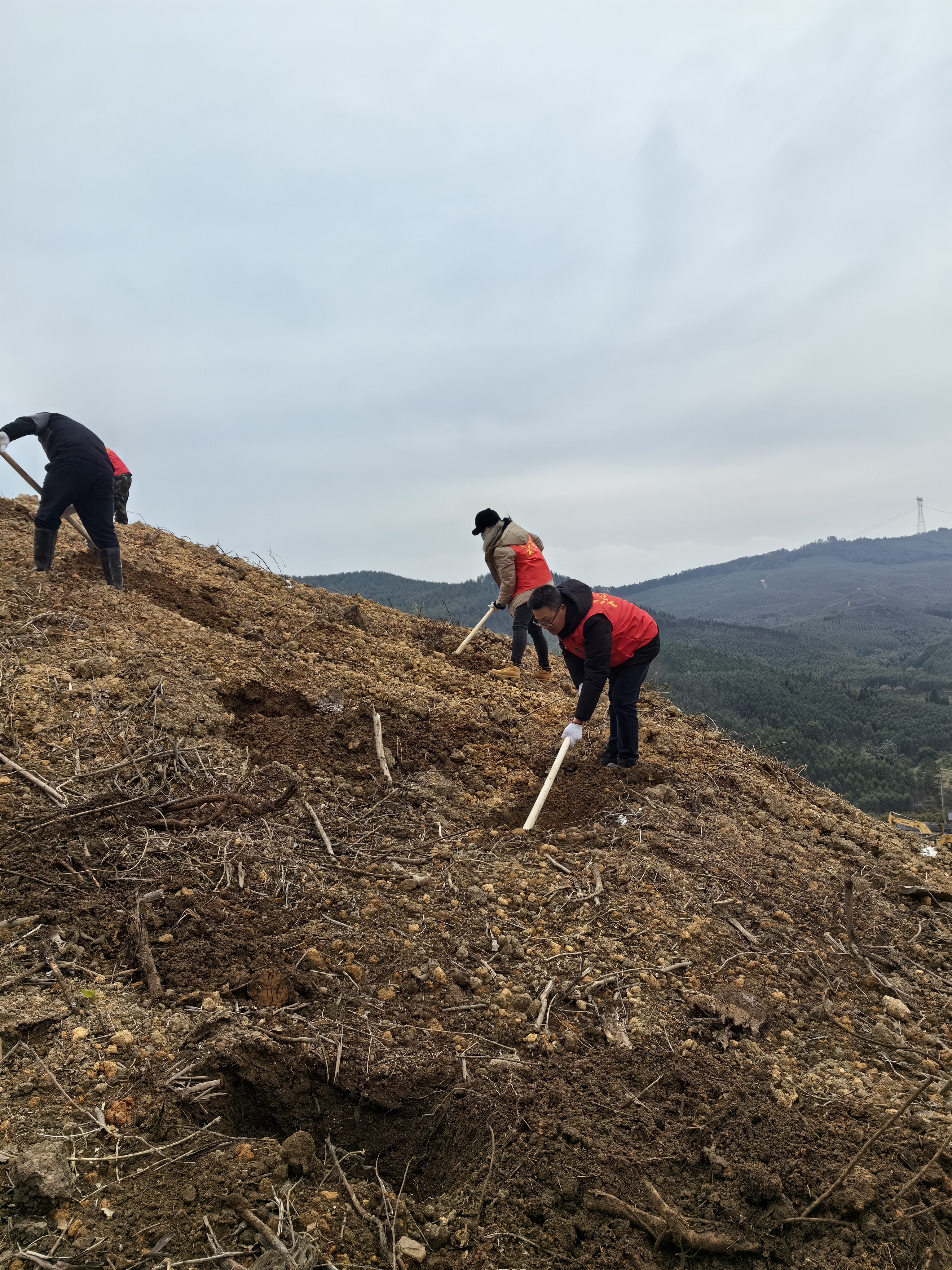 luck18xinli(中国区)-官方网站