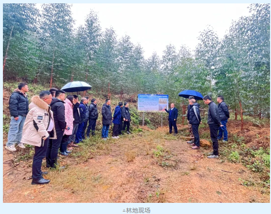 luck18xinli(中国区)-官方网站