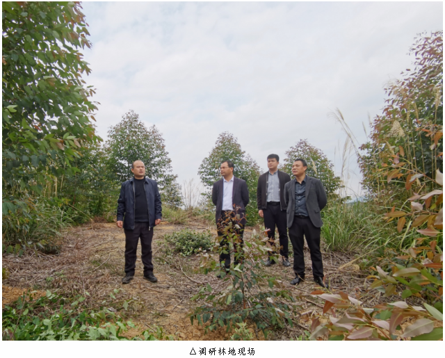 luck18xinli(中国区)-官方网站