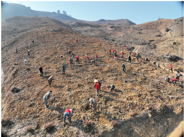 luck18xinli(中国区)-官方网站