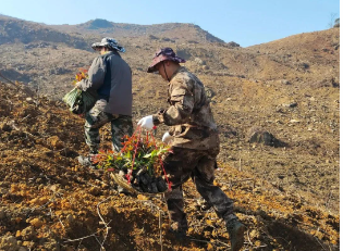 luck18xinli(中国区)-官方网站