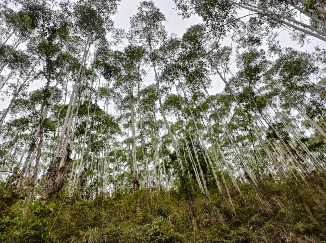 luck18xinli(中国区)-官方网站