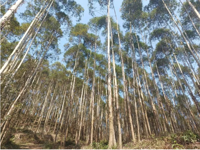 luck18xinli(中国区)-官方网站