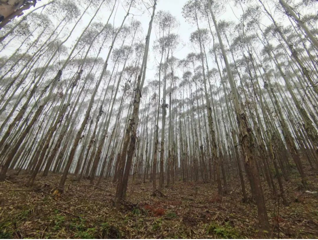 luck18xinli(中国区)-官方网站