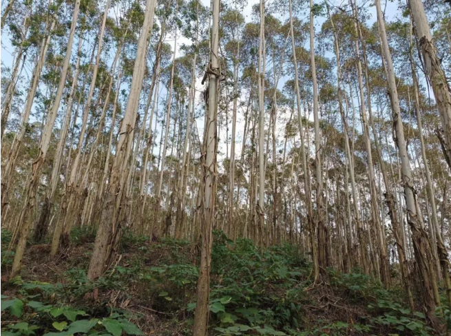 luck18xinli(中国区)-官方网站