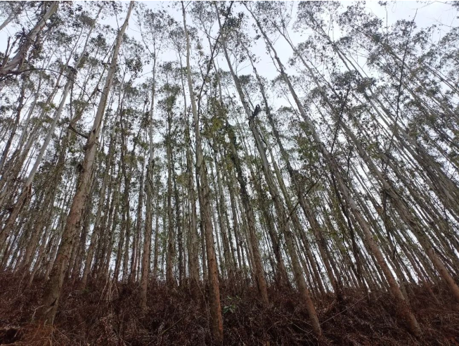 luck18xinli(中国区)-官方网站