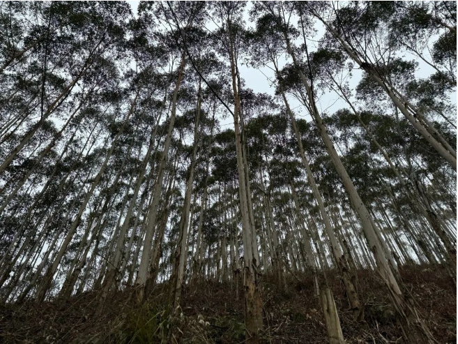 luck18xinli(中国区)-官方网站