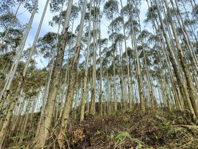 luck18xinli(中国区)-官方网站