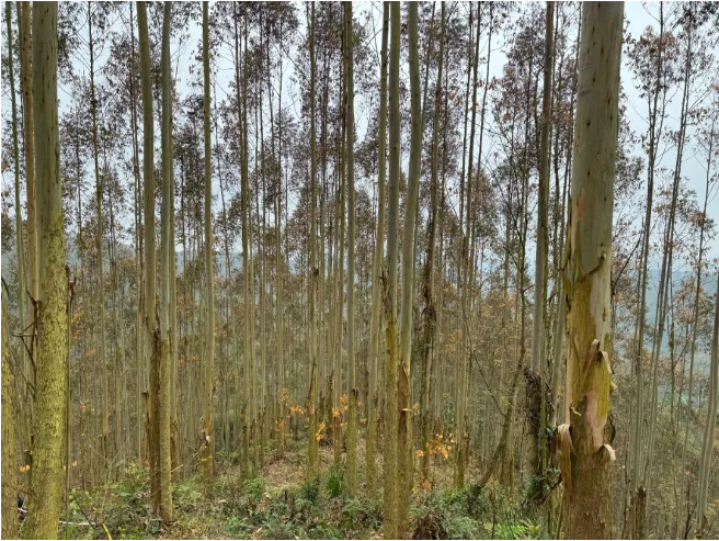 luck18xinli(中国区)-官方网站