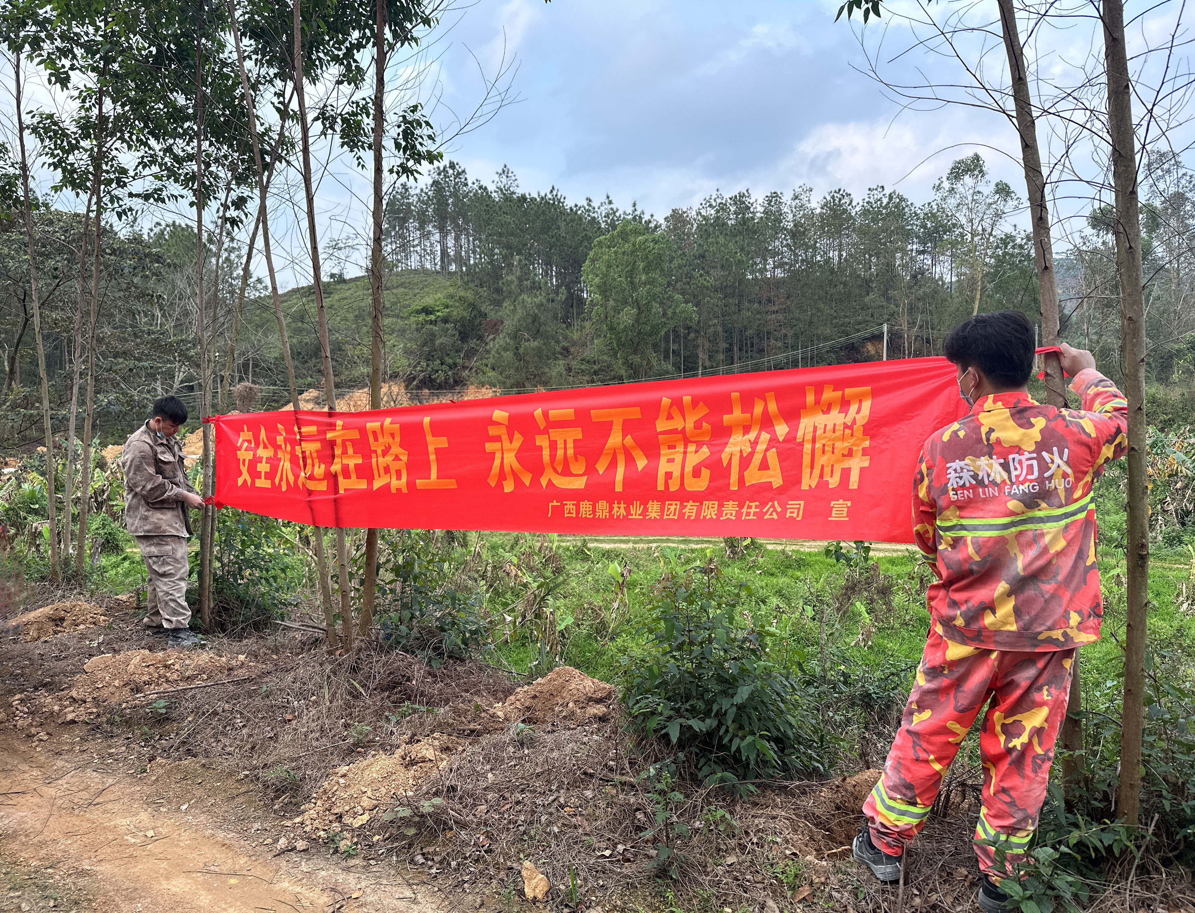 枕戈待旦，，，，，，，守护绿色安然梦