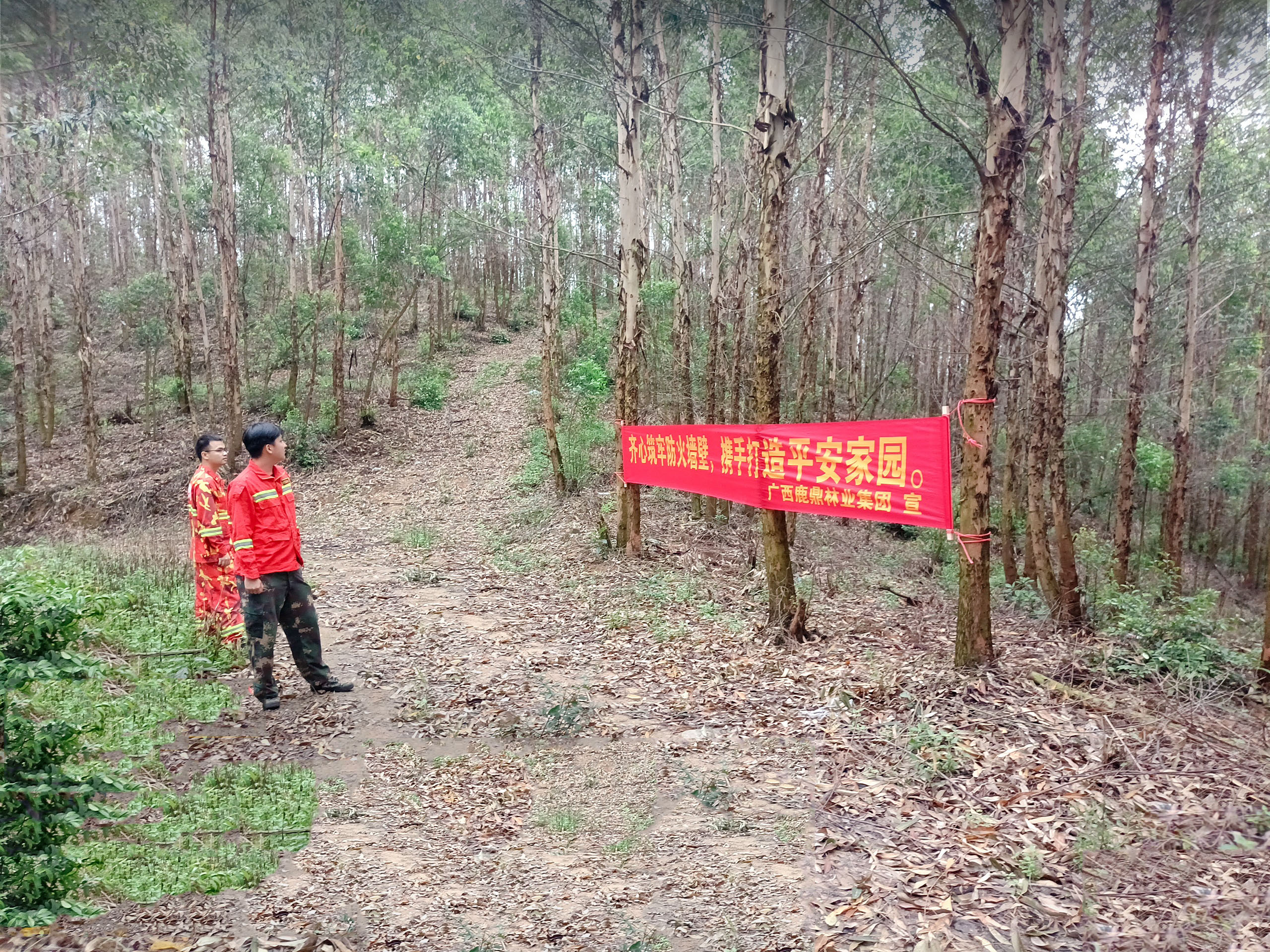 luck18xinli(中国区)-官方网站