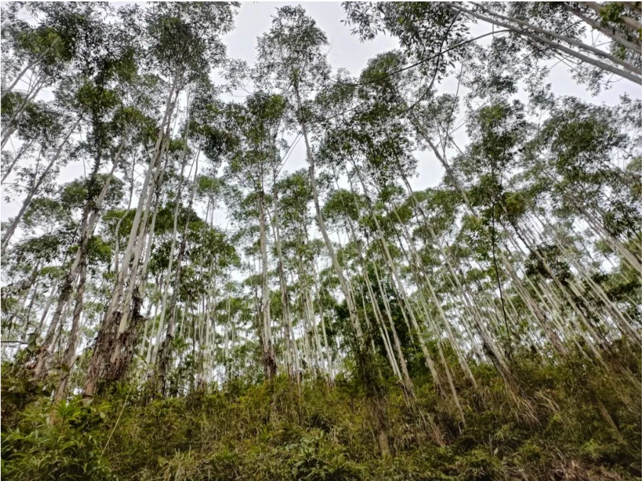 luck18xinli(中国区)-官方网站