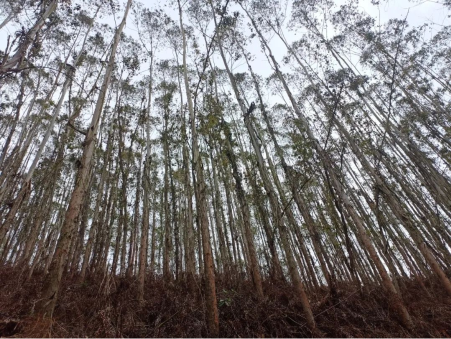 luck18xinli(中国区)-官方网站