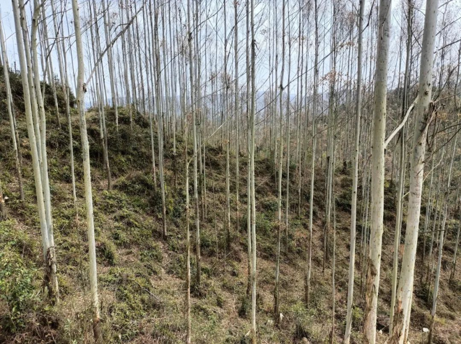 luck18xinli(中国区)-官方网站