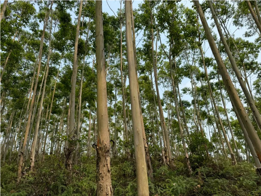 luck18xinli(中国区)-官方网站