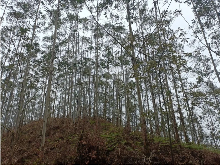 luck18xinli(中国区)-官方网站