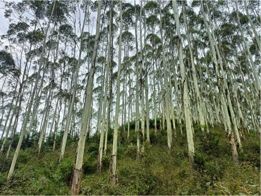 luck18xinli(中国区)-官方网站