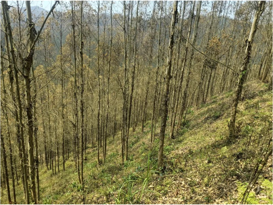 luck18xinli(中国区)-官方网站