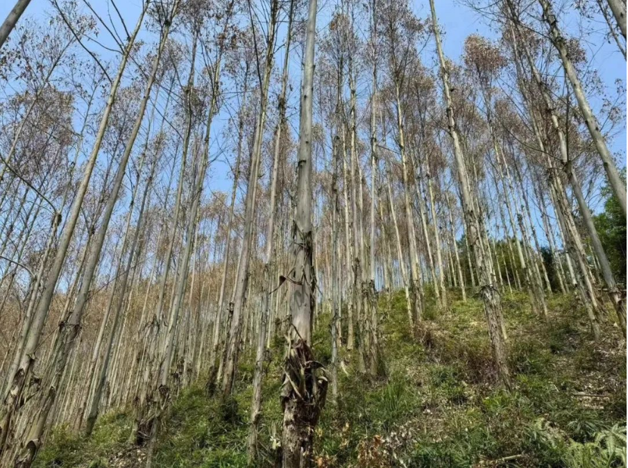 luck18xinli(中国区)-官方网站