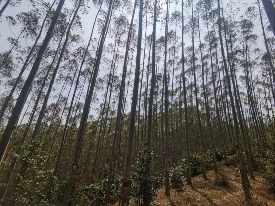 luck18xinli(中国区)-官方网站